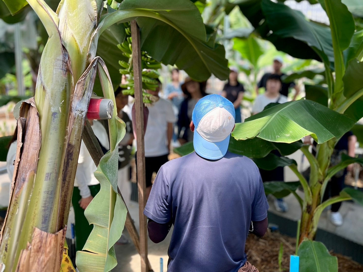 MY BASE PROJECT 2026