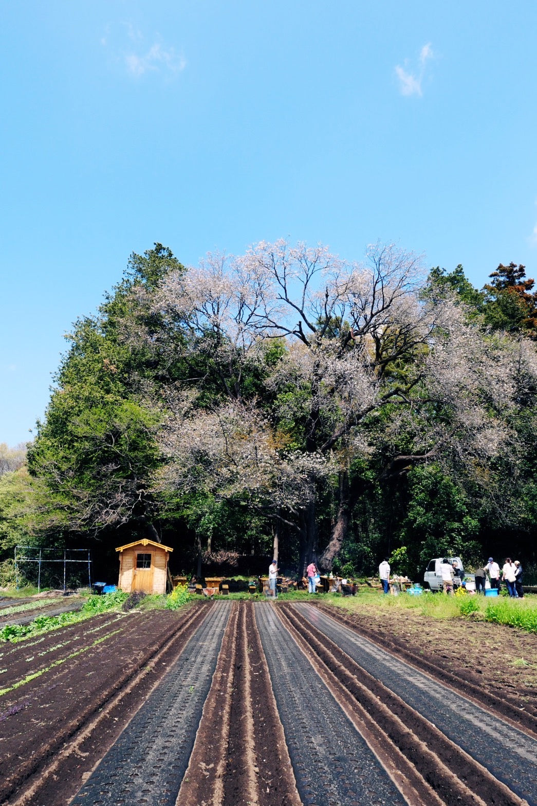 BBQ BASE 2025〜コリアンバーベキュー〜
