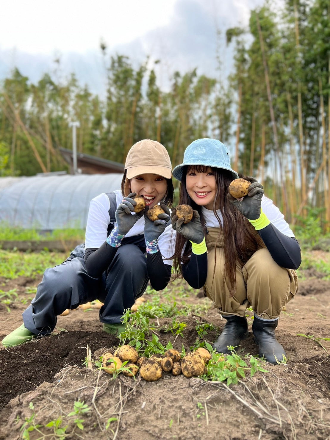 UTSUNOMIYA BASE「秋じゃがいも収穫体験」