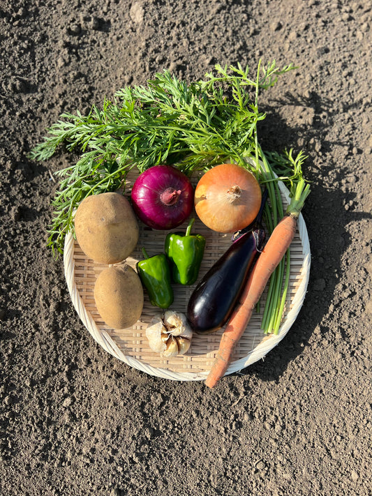 旬の野菜ボックス「夏」
