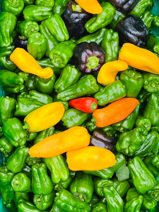 5,500円ボックス(限定25箱)