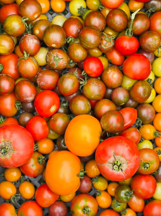 3,300円ボックス(限定30箱)