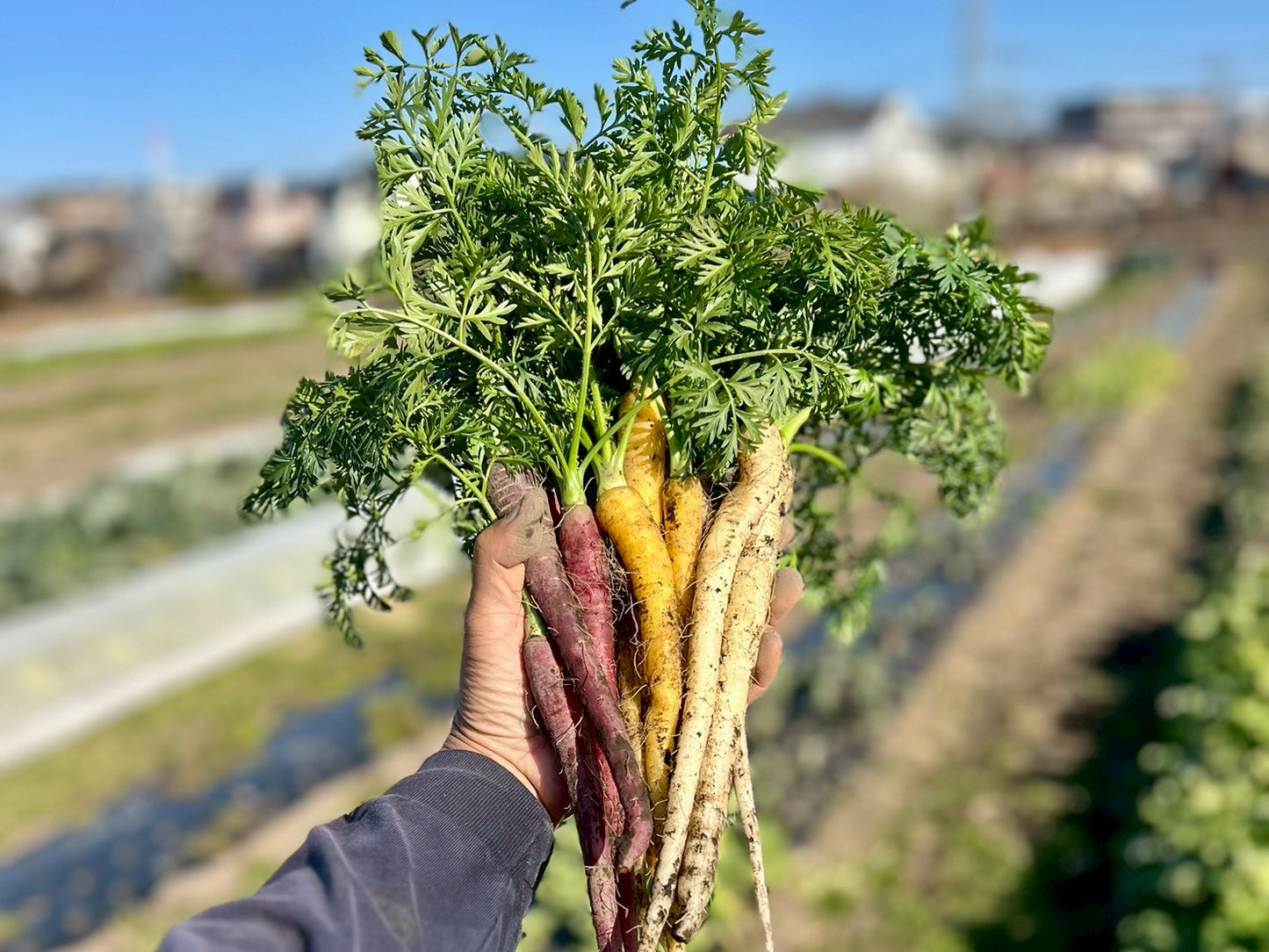 UB「ワタ鍋（ナベ）セット 2026」（30箱限定）