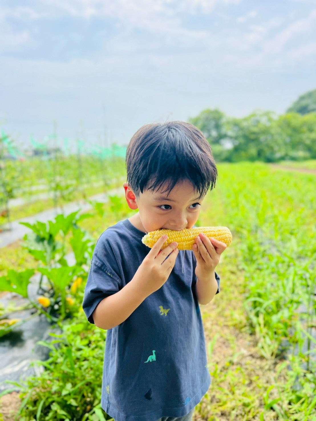 生とうもろこし収穫体験 2026