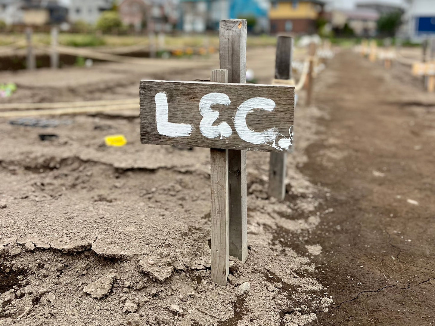 MY BASE PROJECT 2026