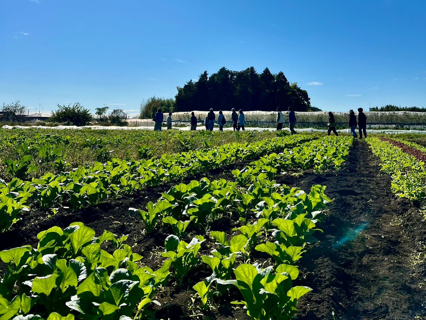 MY BASE PROJECT 2026