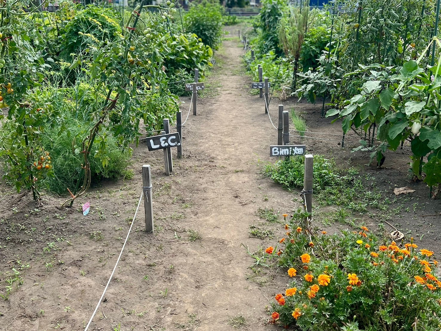 MY BASE PROJECT 2026