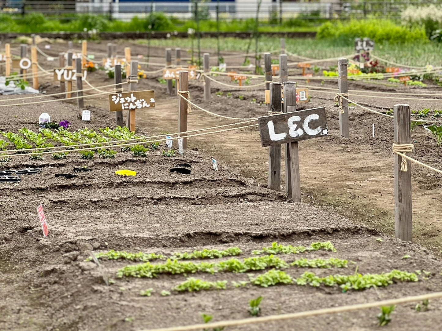 MY BASE PROJECT 2026