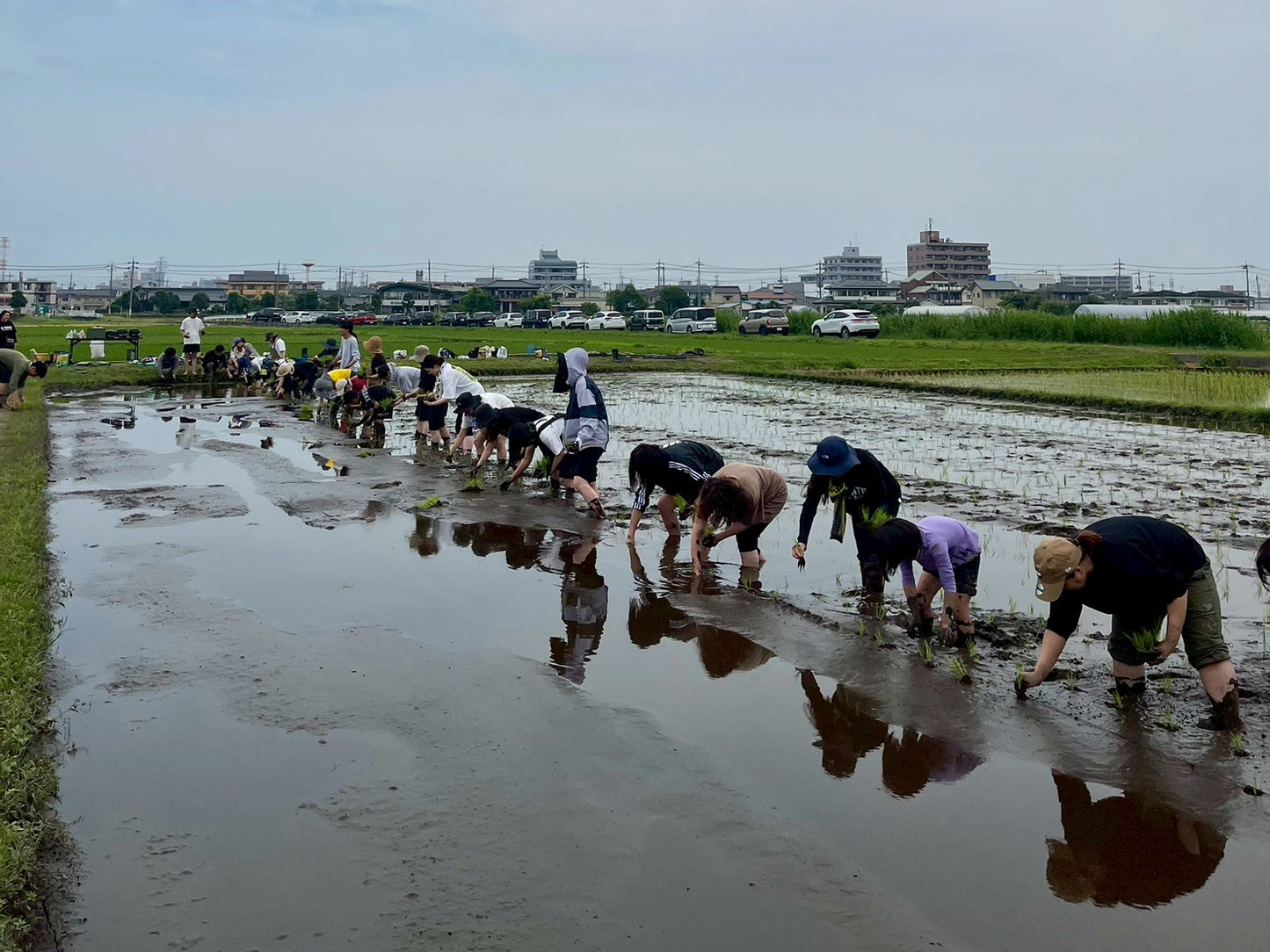 UB田植え体験 2026