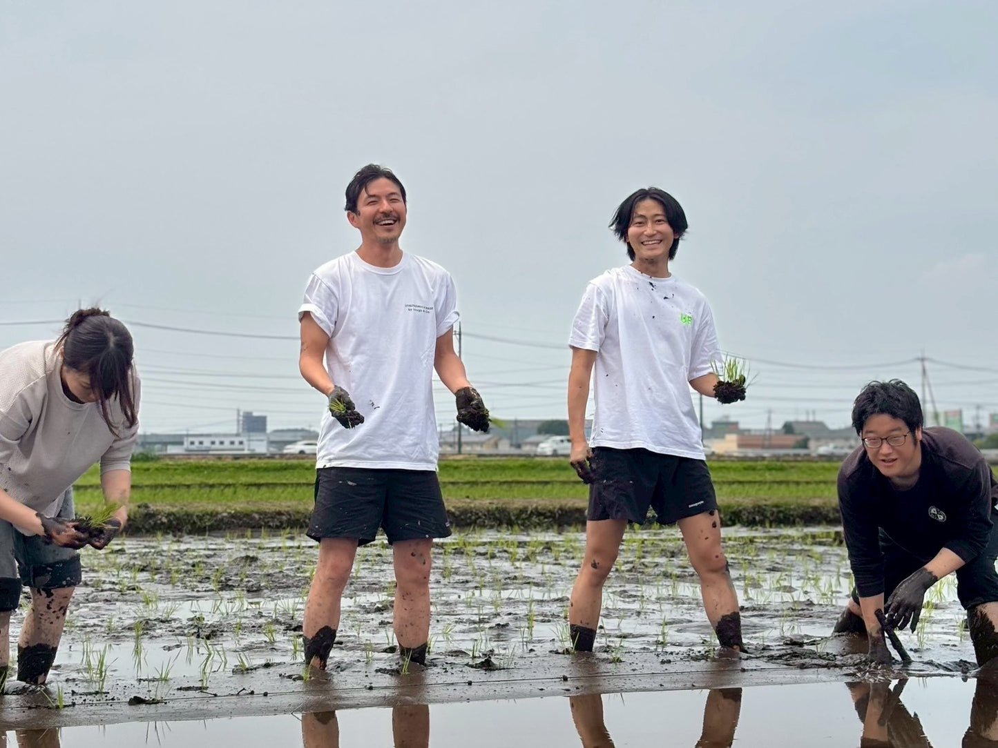 UB田植え体験 2026