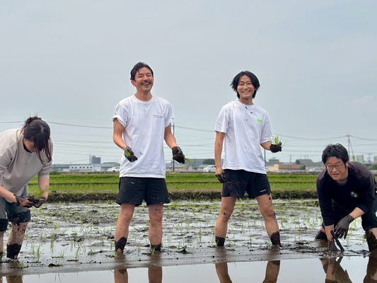 UB田植え体験 2026